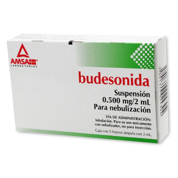 BUDESONIDA 0.500 MG/2 ML C/1 FCO NEB